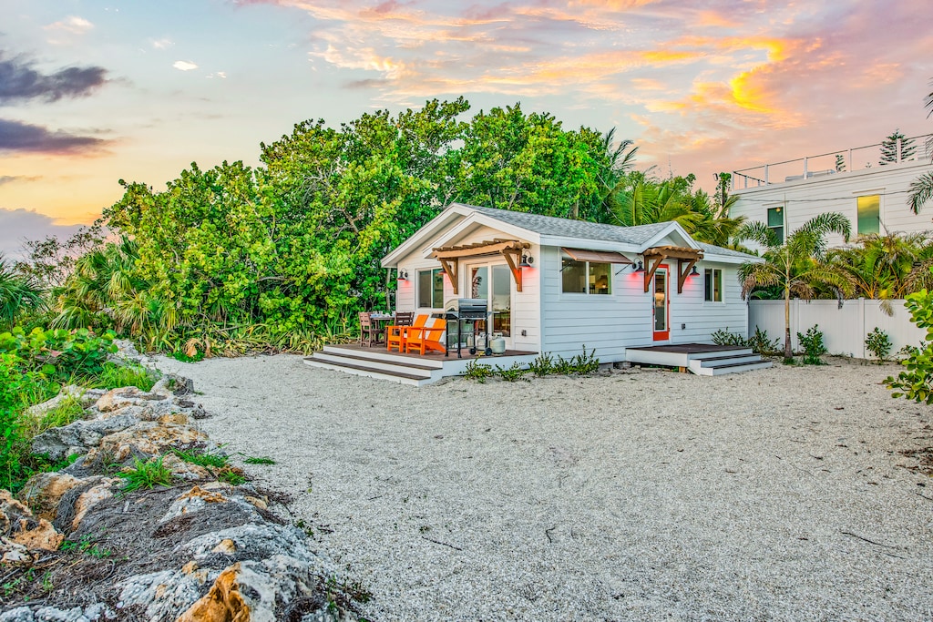 Low Tide - AMI Locals