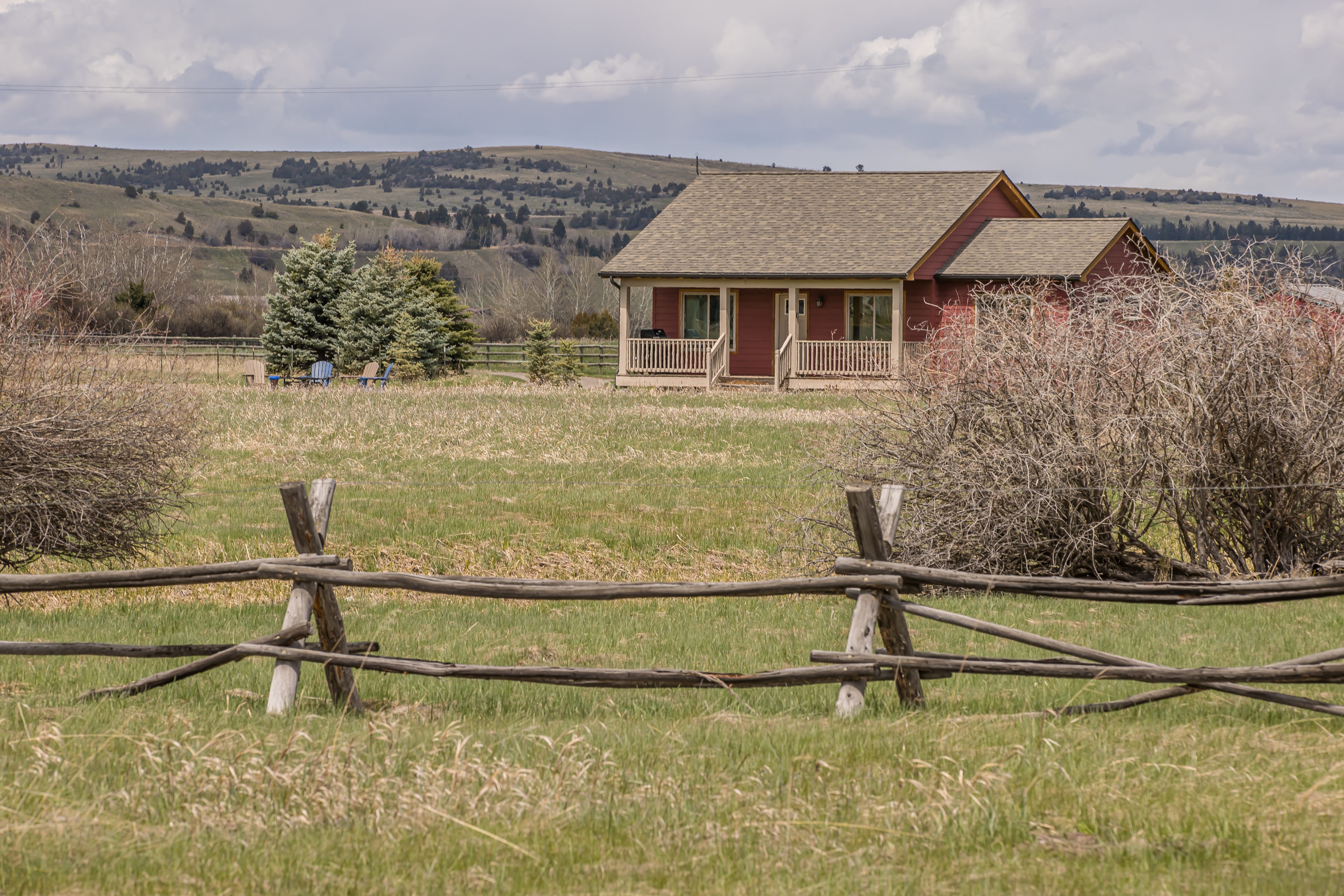 Room to roam! | Exterior