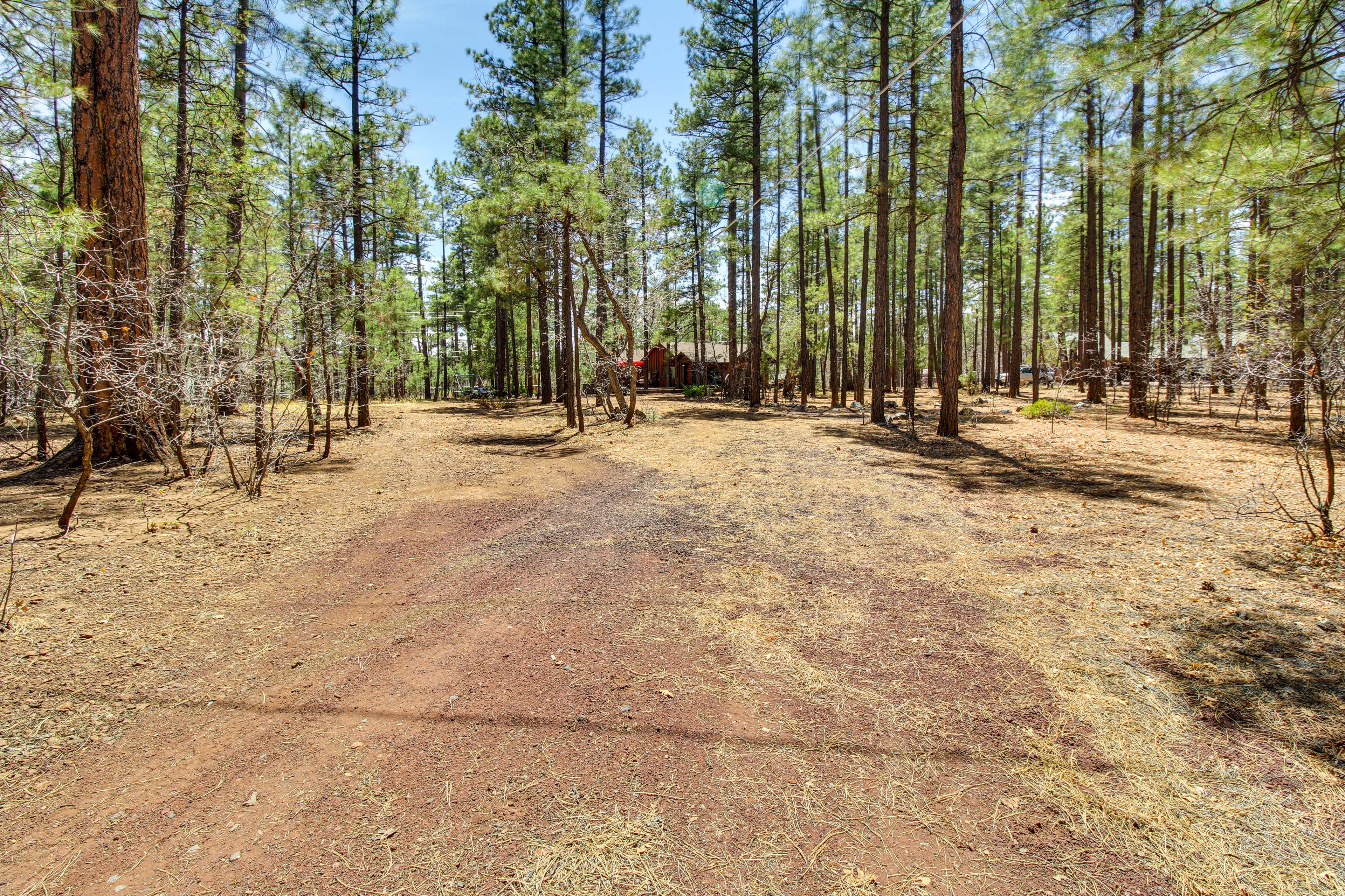 Family-Friendly Hideaway Cabin in Lakeside!