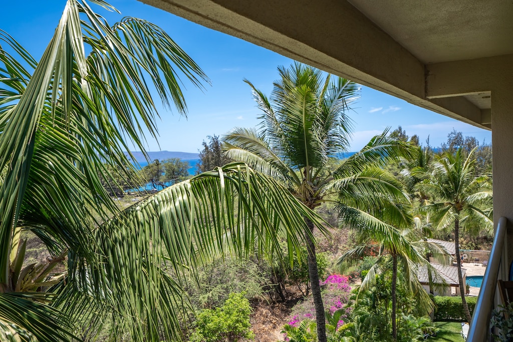 Tropical view from the private lanai