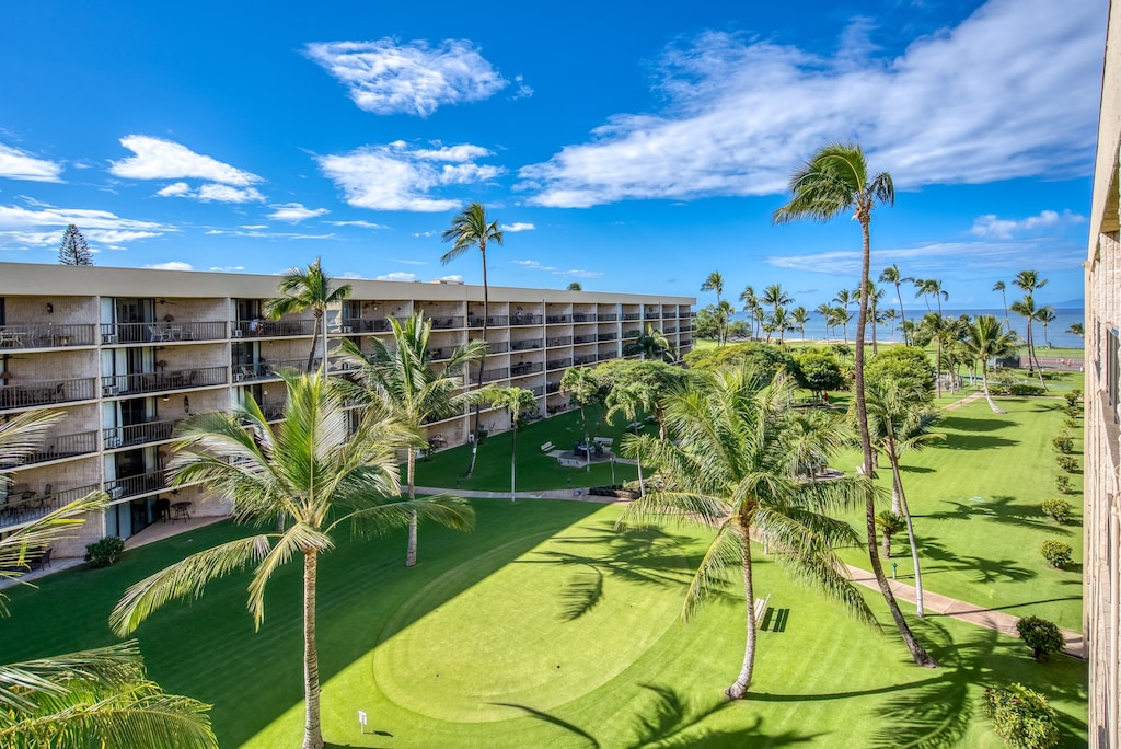 Beautiful oasis outside the lanai
