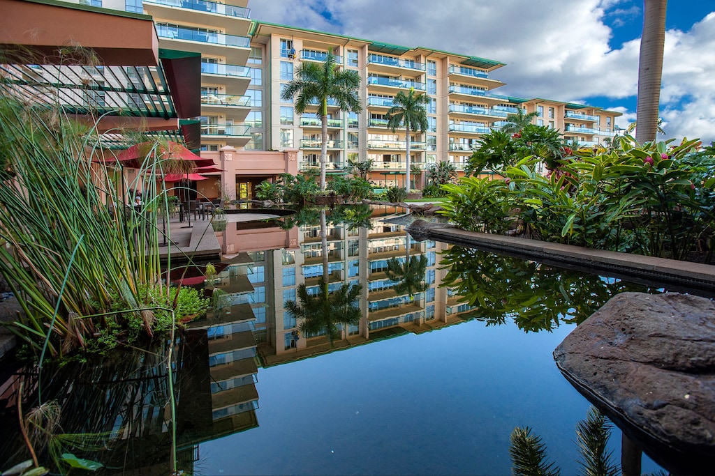 Gorgeous tropical setting