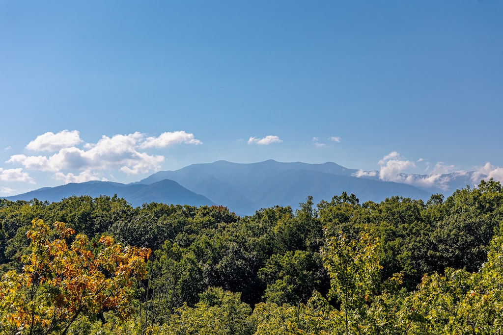 View from Make A Splash, a 2 bedroom cabin rental located in gatlinburg