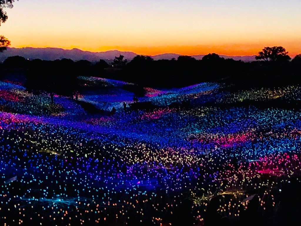 FCAFED77-5307-4F90-839F-3E033CA87A9D_1_105_c FCAFED77-5307-4F90-839F-3E033CA87A9D_1_105_c