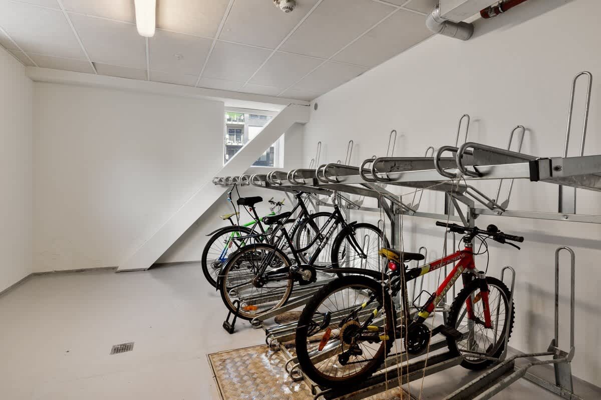 Store your bicycle in the garage!