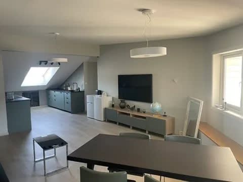 Open-concept living space, blending kitchen and living areas seamlessly.