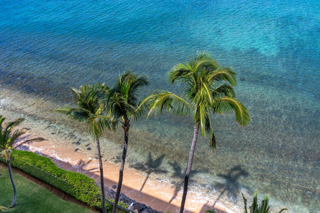 Your front yard: swaying palms and turquoise ocean. MAH-1006