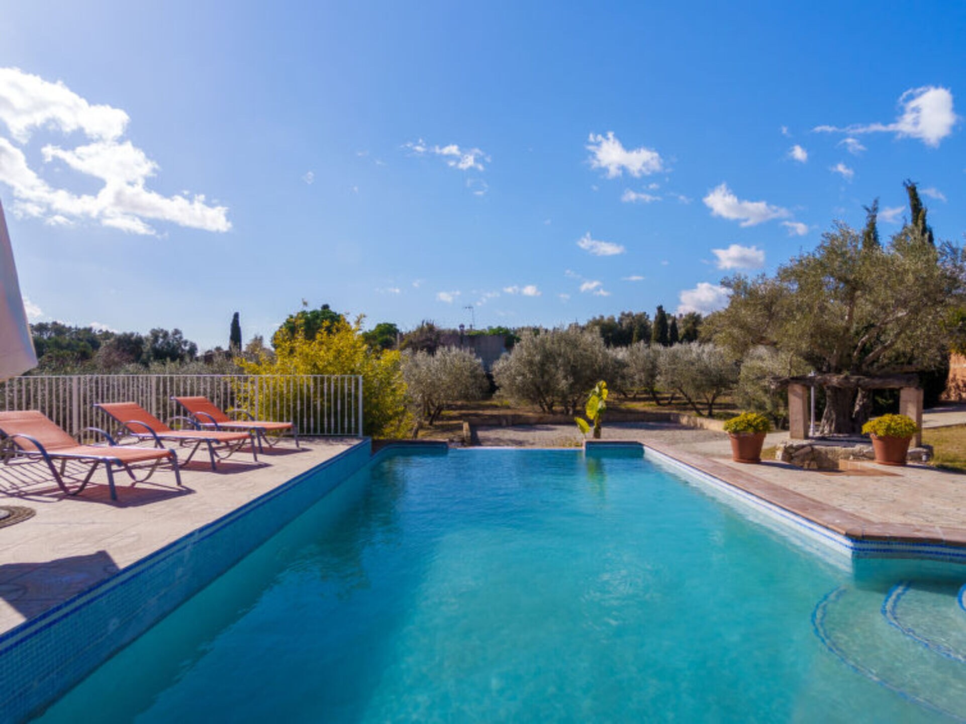 Pool Outdoor Pool Outdoor
