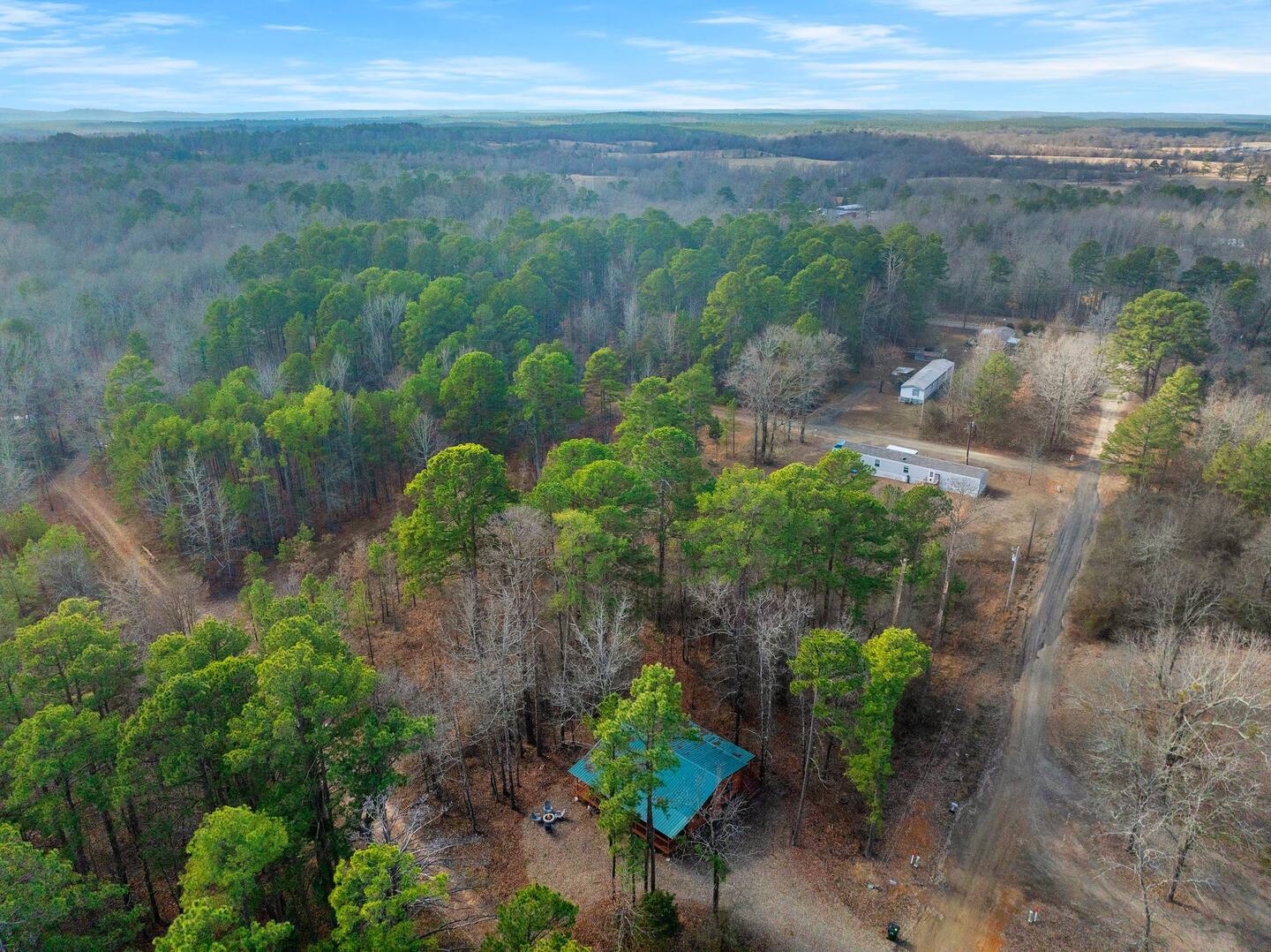 Misty Moonlight By The Cohost Company