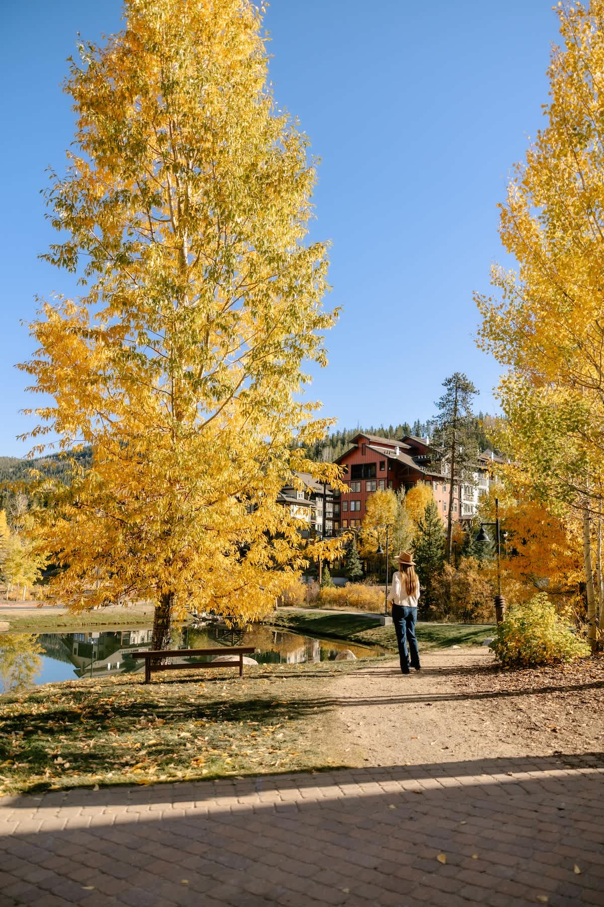 Downtown WP | Modern Arcade Retreat Downtown WP | Modern Arcade Retreat