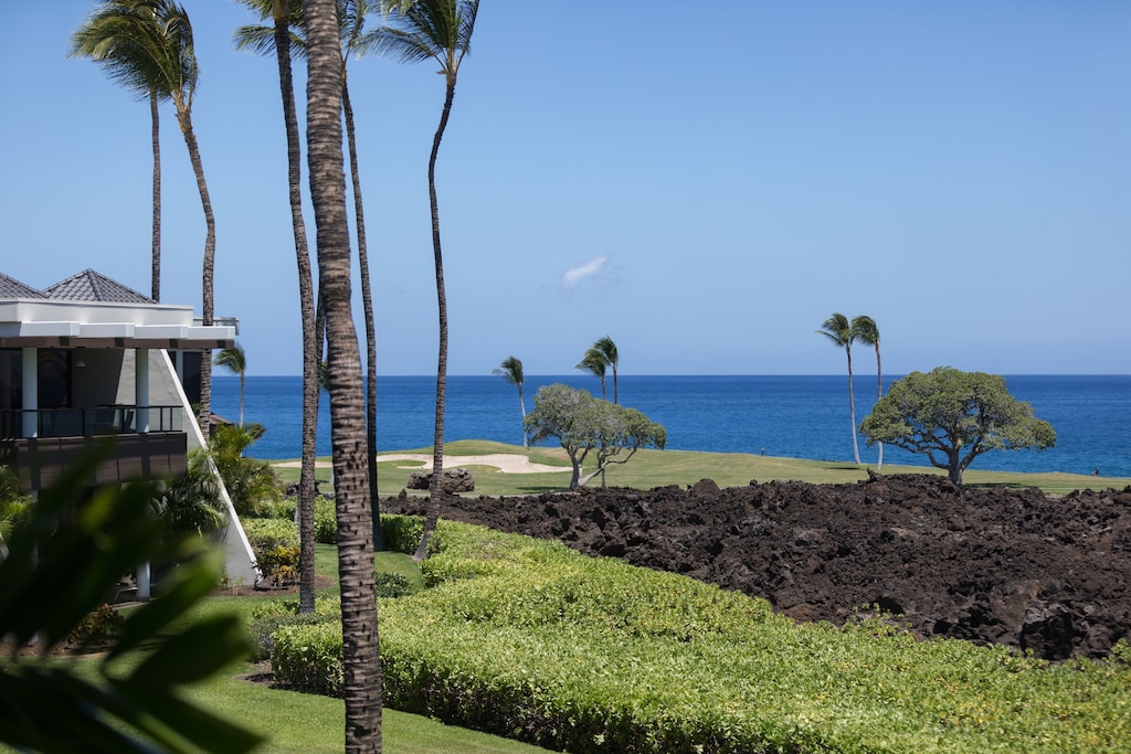 The pictures don't do it justice; see whales or dolphins from your lanai in season.