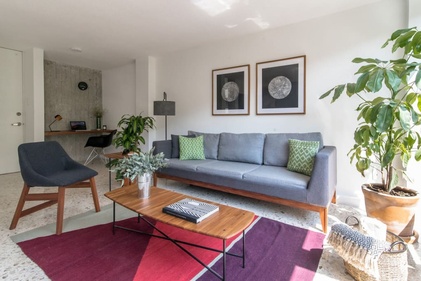 The Purple Jay, Bright Flat w/Amazing Street Views