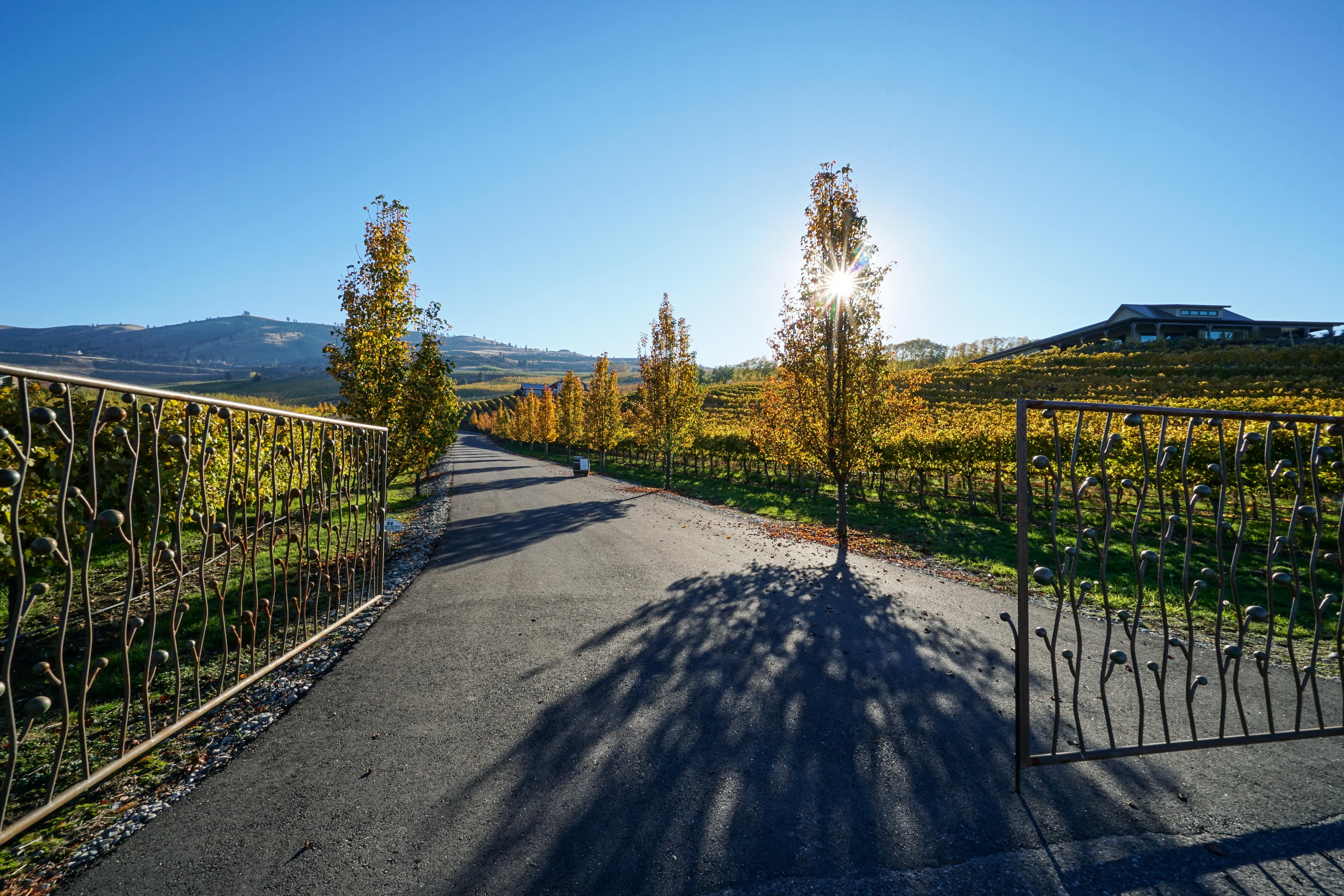 Royal View on Lakeshore