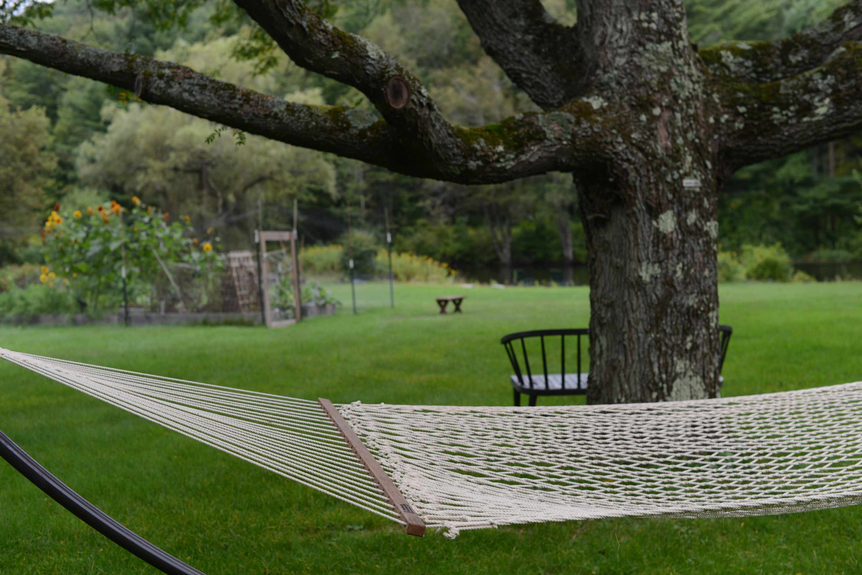 Crossbridge: Vintage Charm + Unique Character