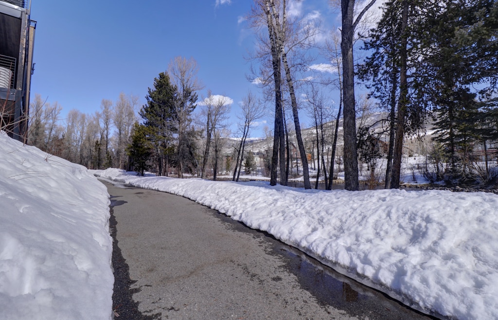 IMG_8148_49_50_51_52