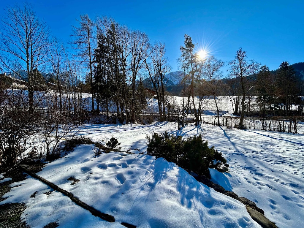 the beautiful snow covered back yard 