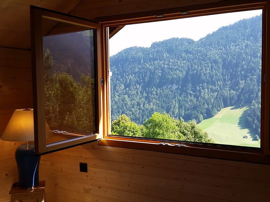 window views window views