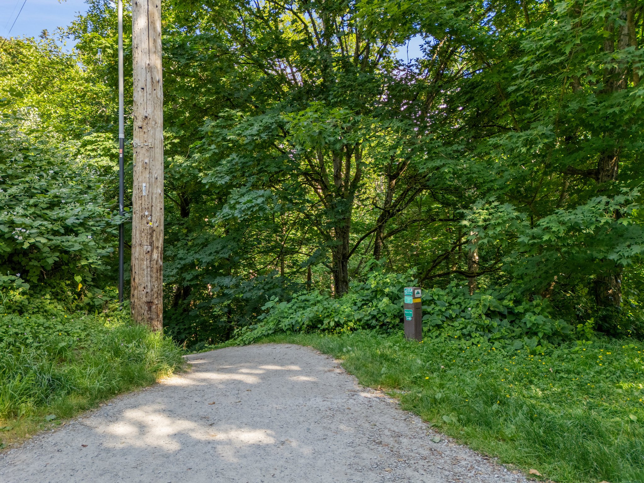 Easy trail access makes exploring the neighborhood a breeze.