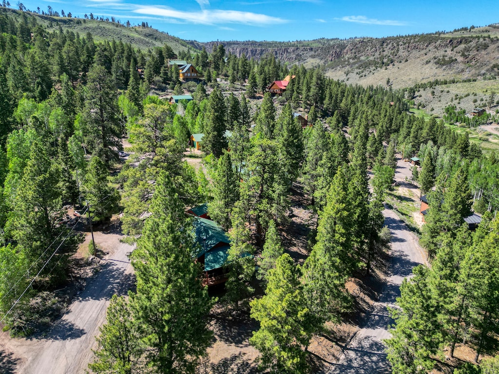 Areal view of The Reel Retreat and Panguitch Lake
