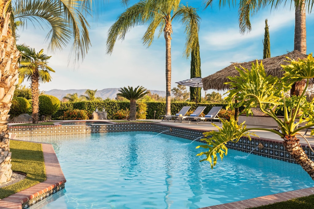 Dive on in.