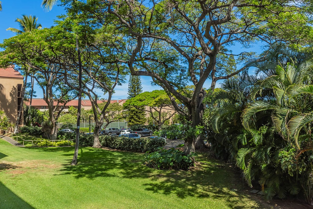 Beautiful garden view