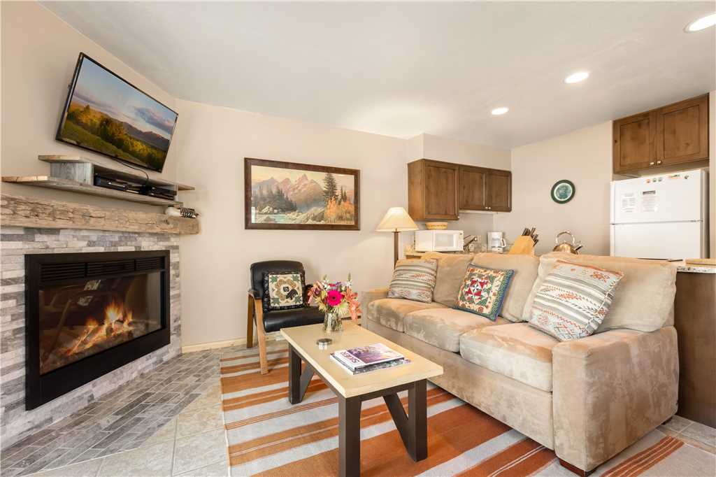 Living Room w/ TV and Electric Fireplace Fireplace