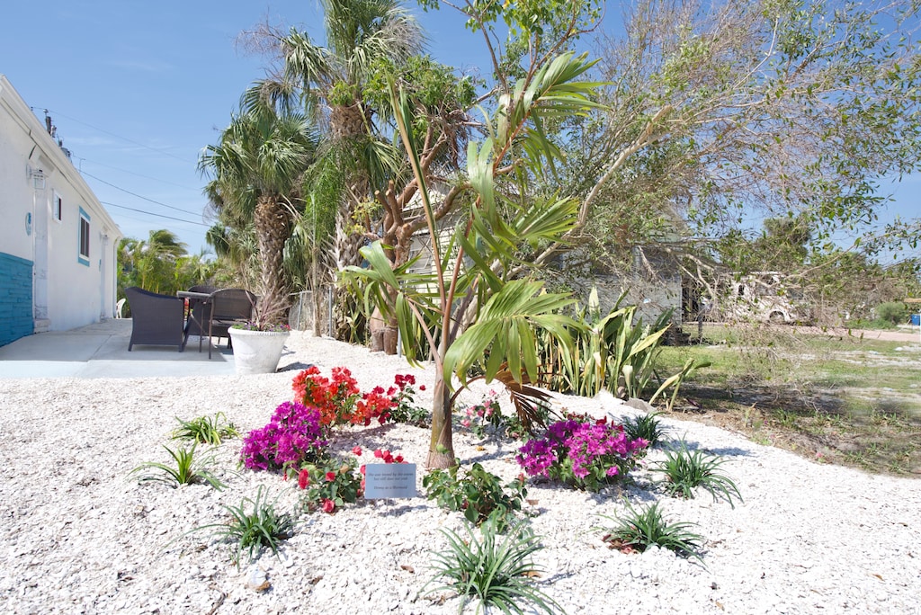 Beautiful Landscaping