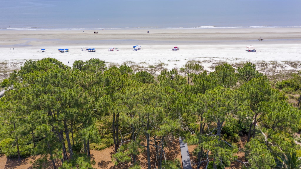 Aerial View of Private Boardwalk to Beach!
