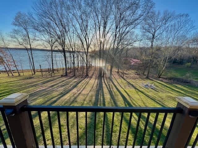 Views from the back porch 