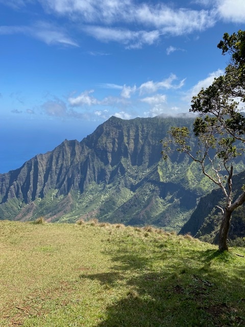Enjoy the views from Koke'e, overlooking the majestic Kalalau Valley.