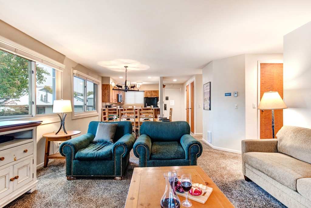 Two club chairs in the living room.