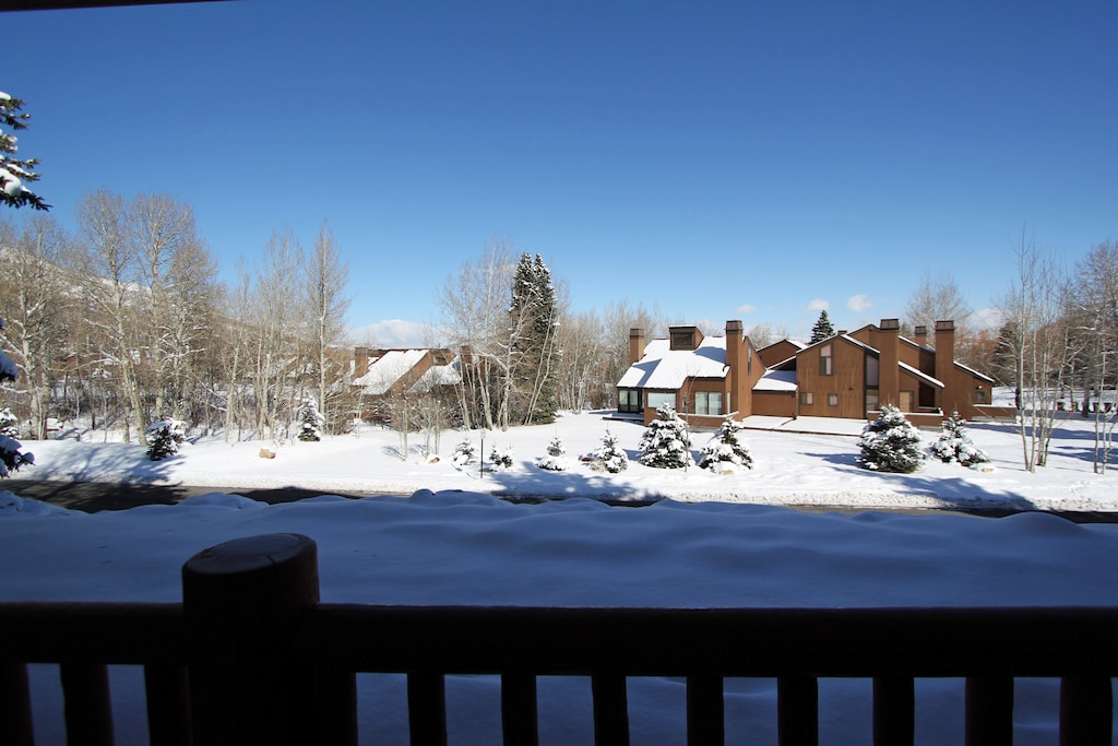 Winter View