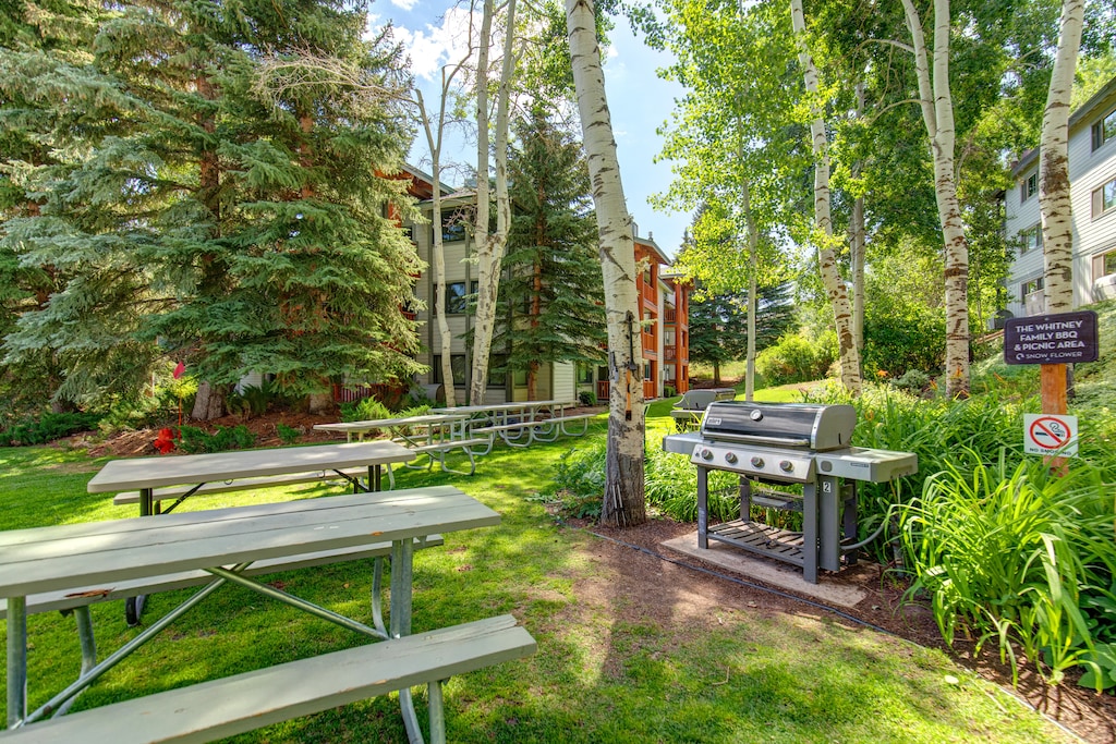 Snow Flower BBQ with 5 picnic tables and 2 gas grills