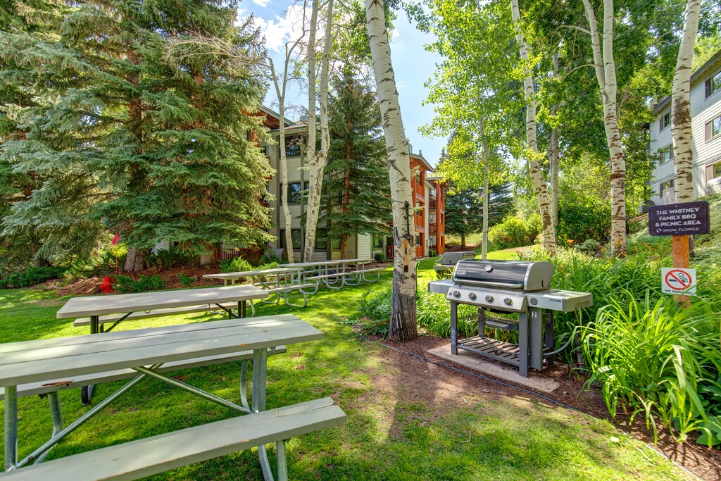 Snow Flower BBQ with 5 picnic tables and 2 gas grills