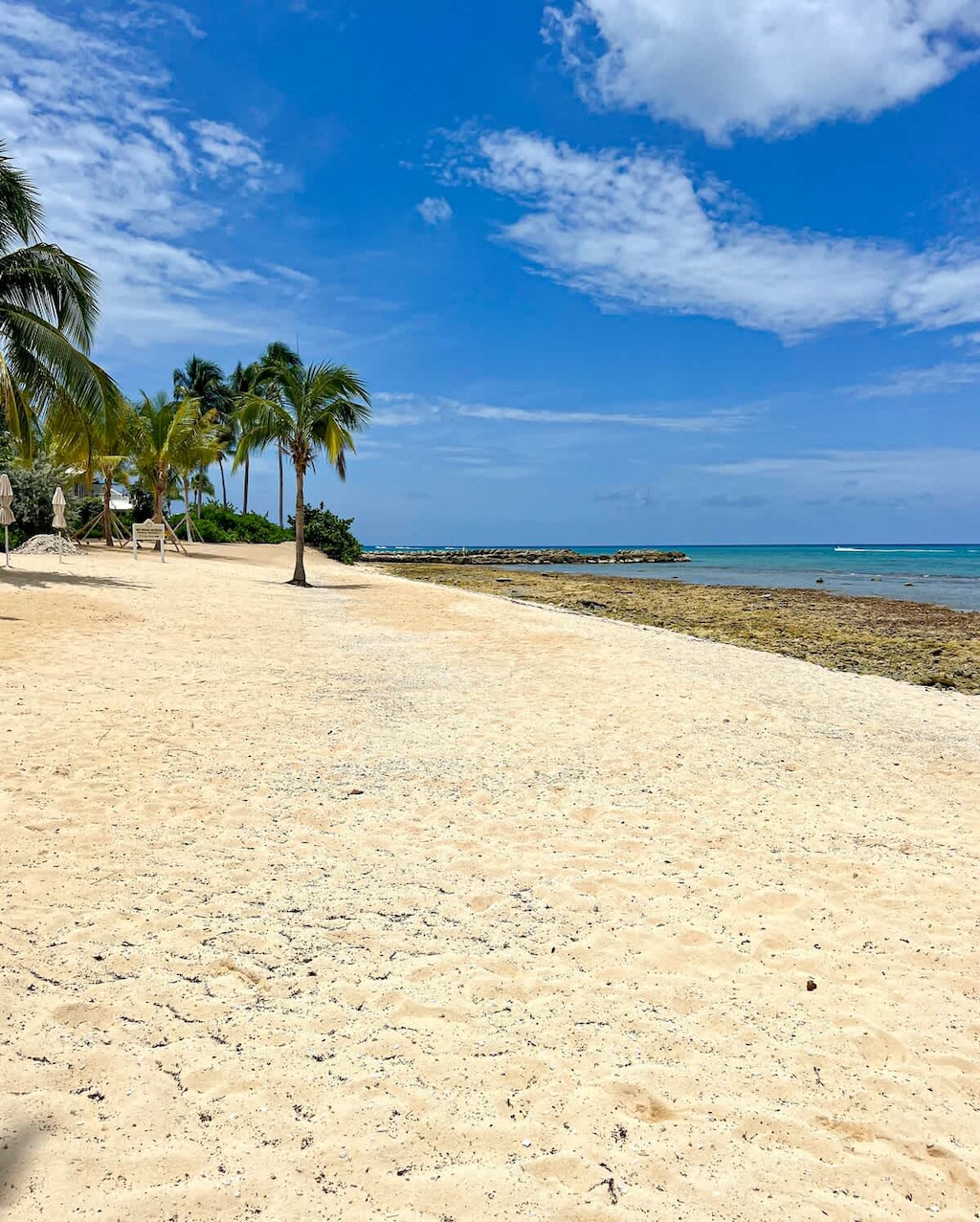 Crescent Point #9 - Beach