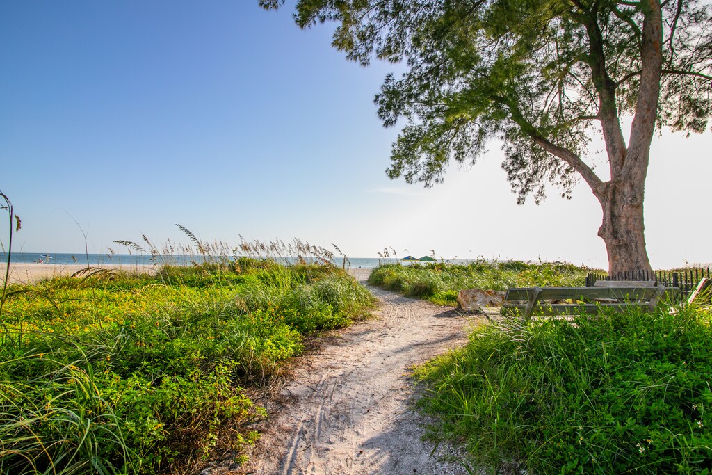 Beach View