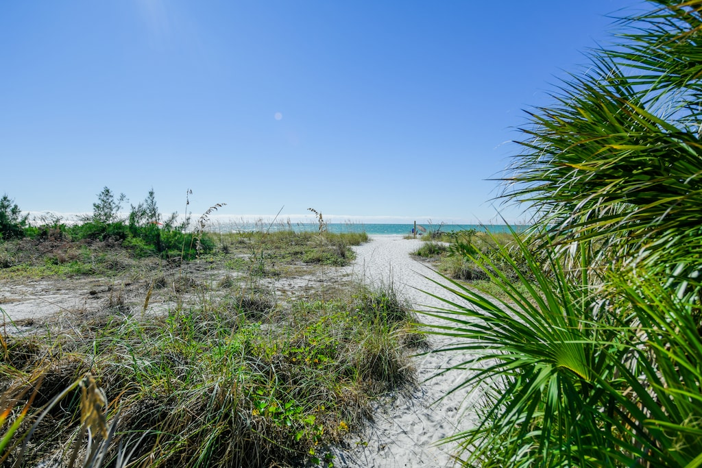 Sandy Trail With Ocean End