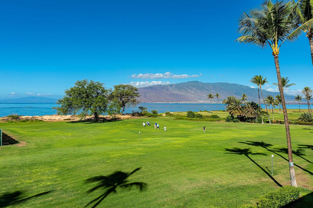 Lush Tropical Grounds with Swaying Palms Trees