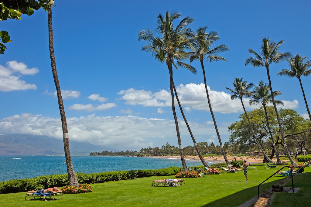 Poolside loungers overlooking the ocean