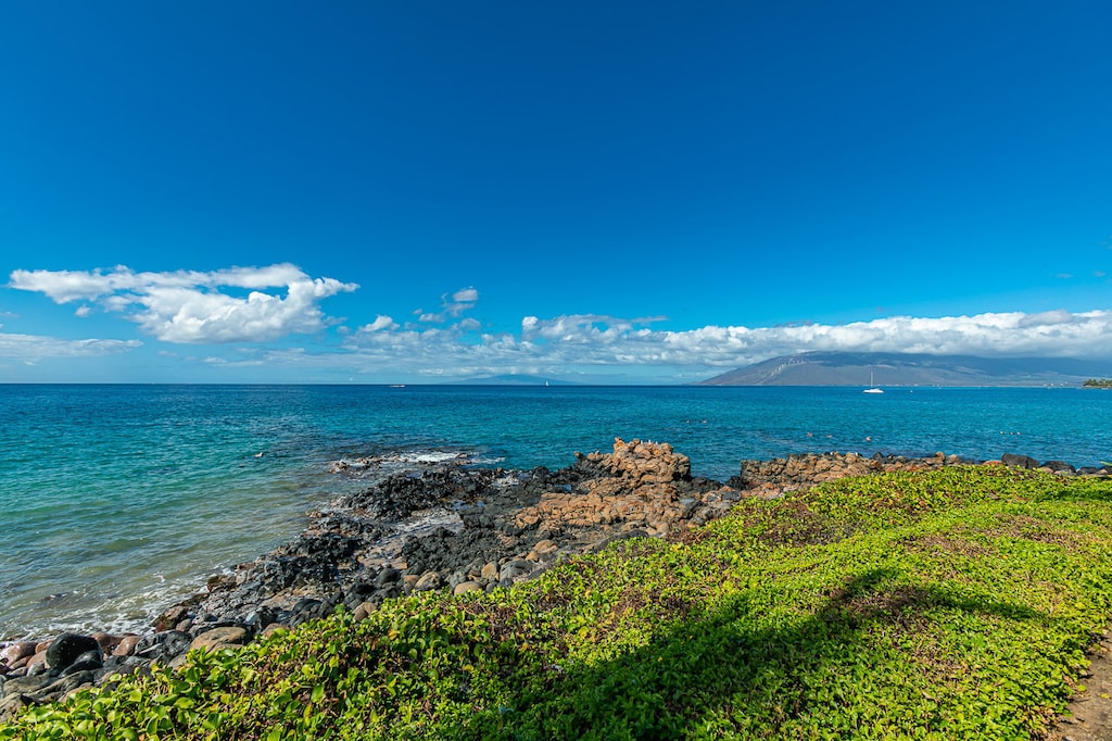 Crystal Clear Pacific Ocean!