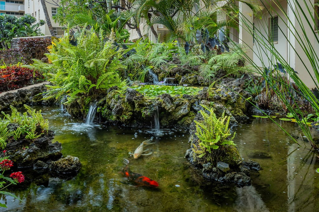 Serene entrance pond with vibrant koi