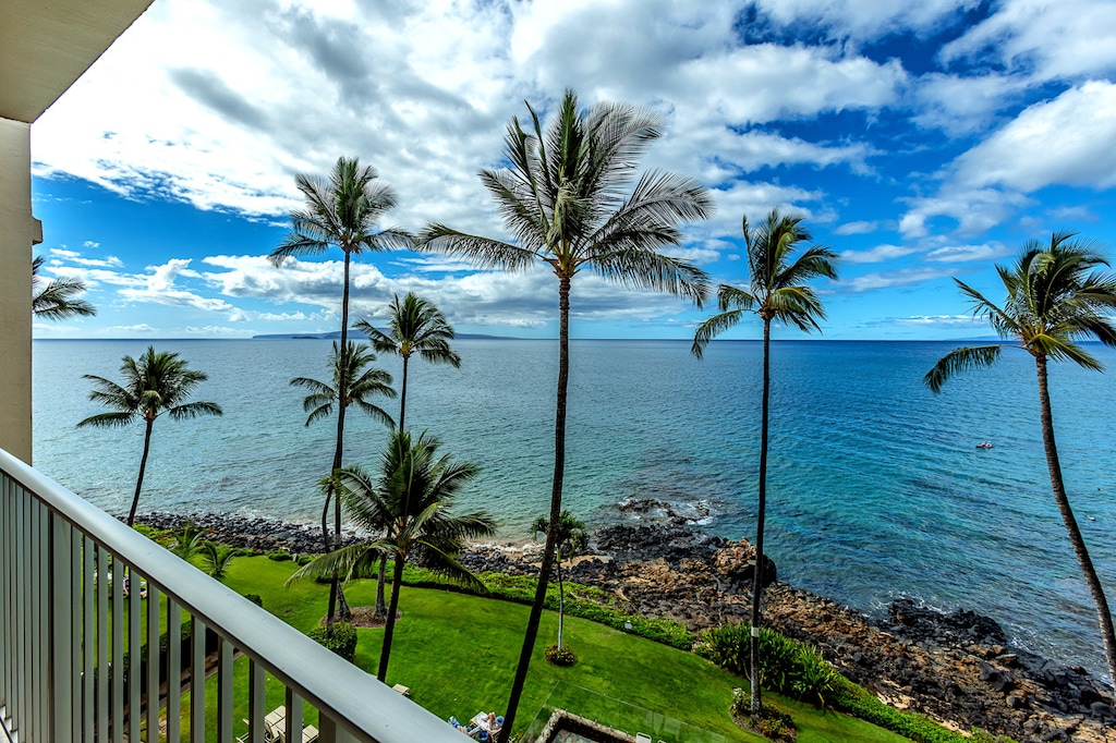 Watch the whales in the winter months from the lanai