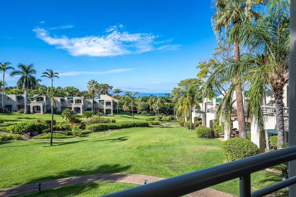 Blue skies~ palm trees and sunset.