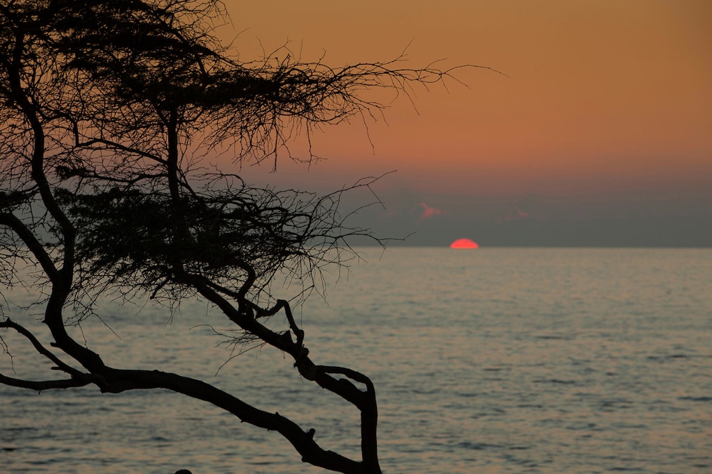 Award-winning beaches rated among the best in the world