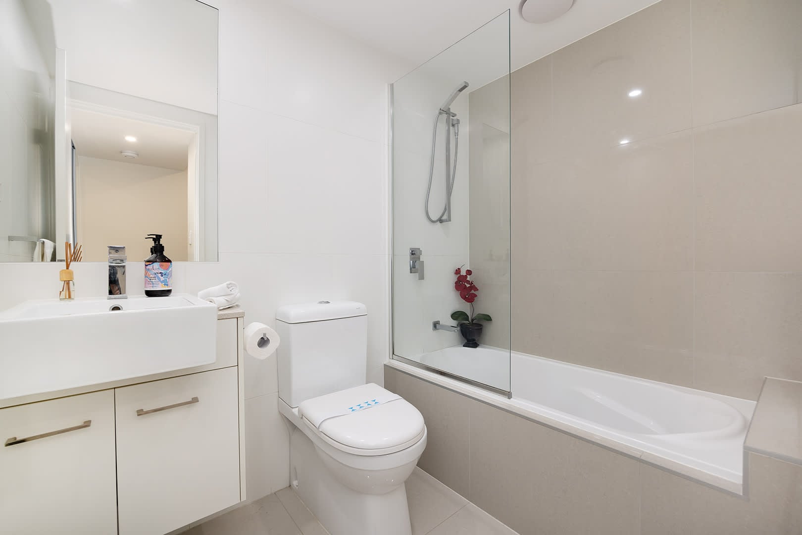 Third bathroom which serves almost like an ensuite outside the main downstairs bedroom - This is also the main bathroom for the apartment