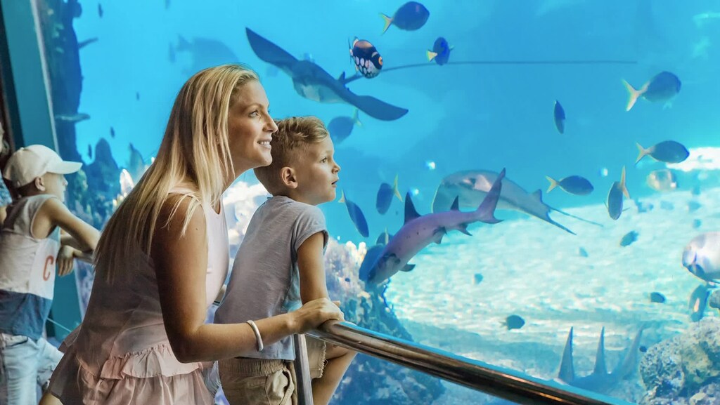 Nearby theme park - SeaWorld