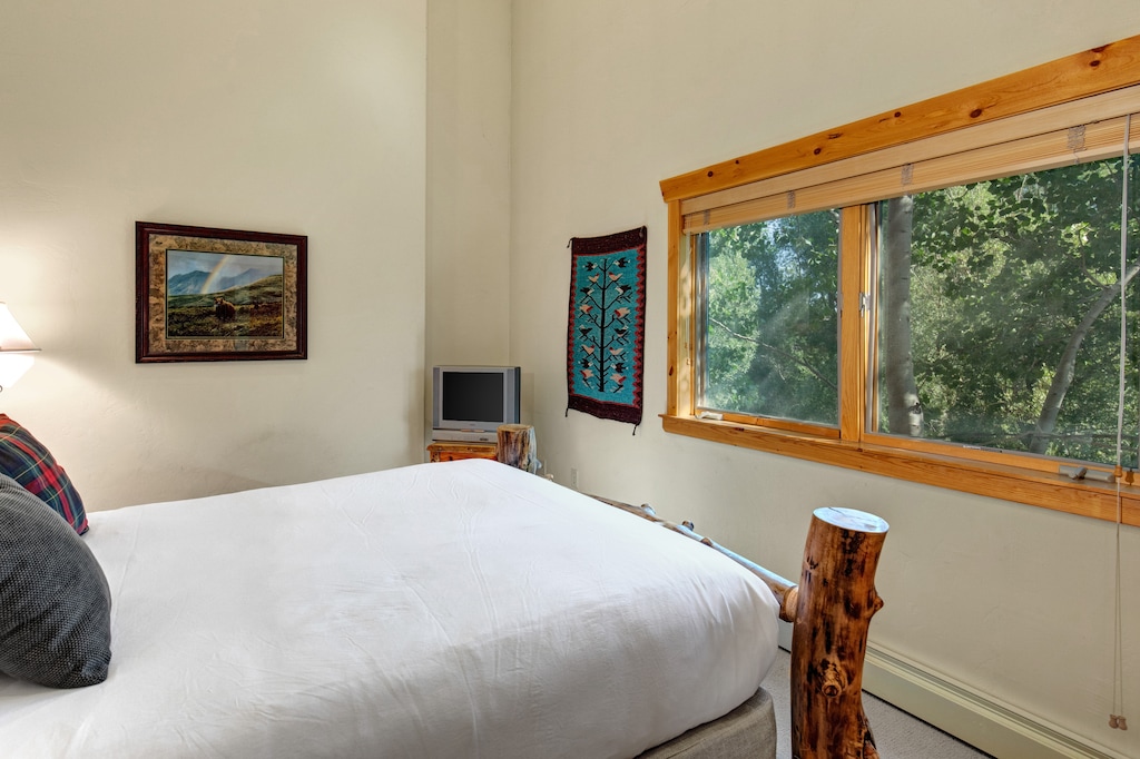The second bedroom with a queen bed and TV.