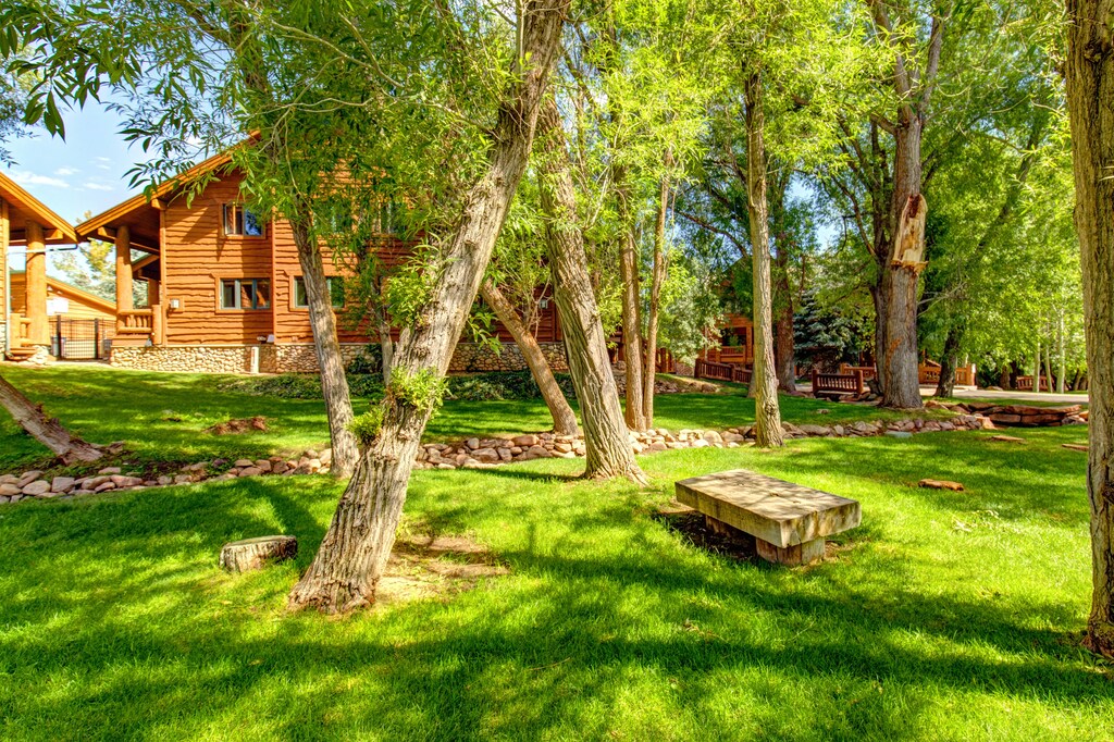 Plants, trees and a babbling creek in the open space across from Timber Wolf Lodge 7C.