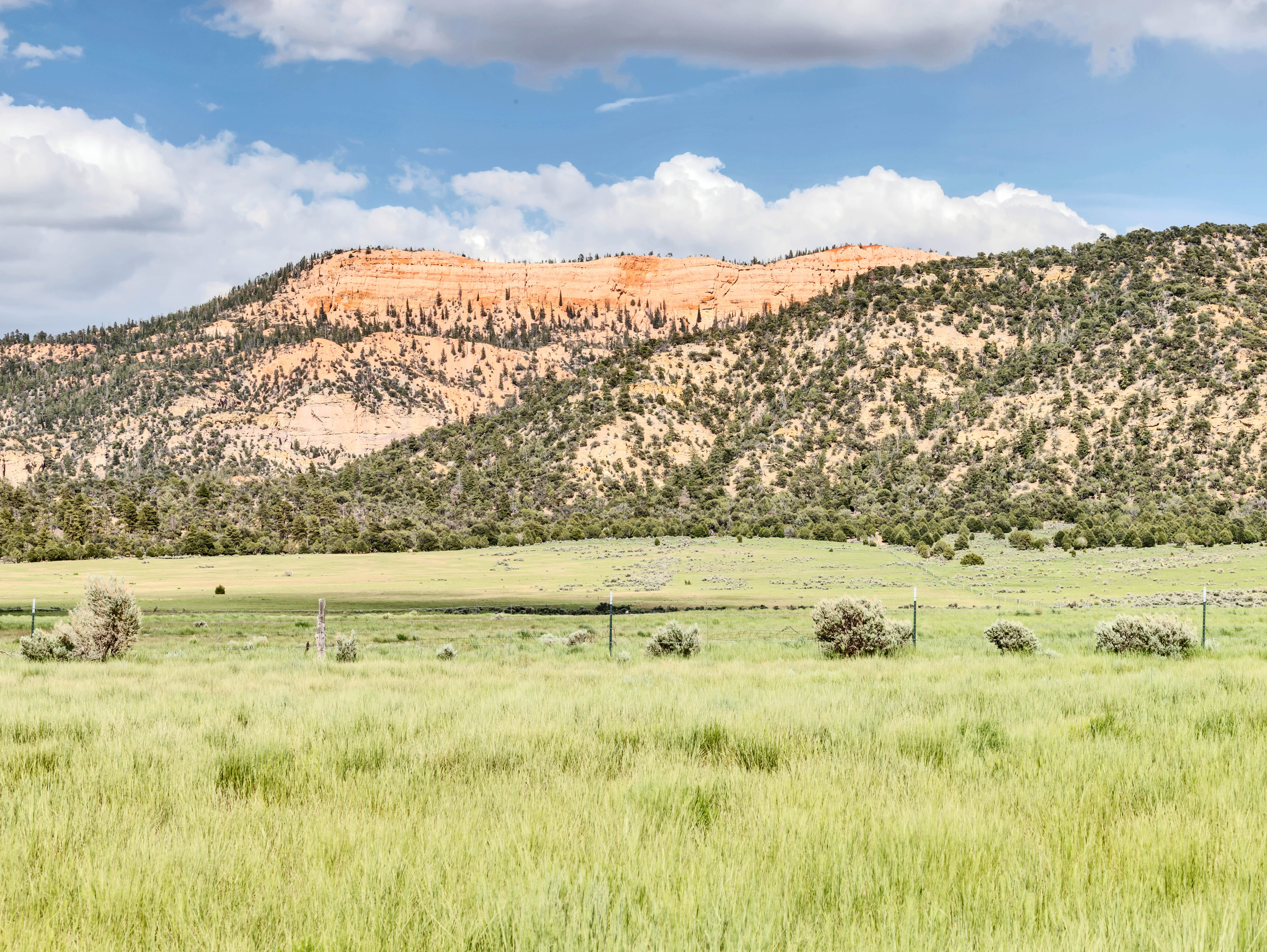Bryce Canyon Retreat | Starry Skies | Views