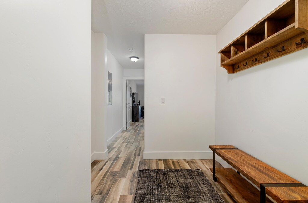 Downstairs Entry Way